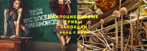 молекула духа Армянск